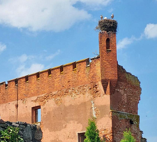 В тени рыцарских замков