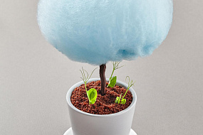 Ресторан «ОБЛАКА»