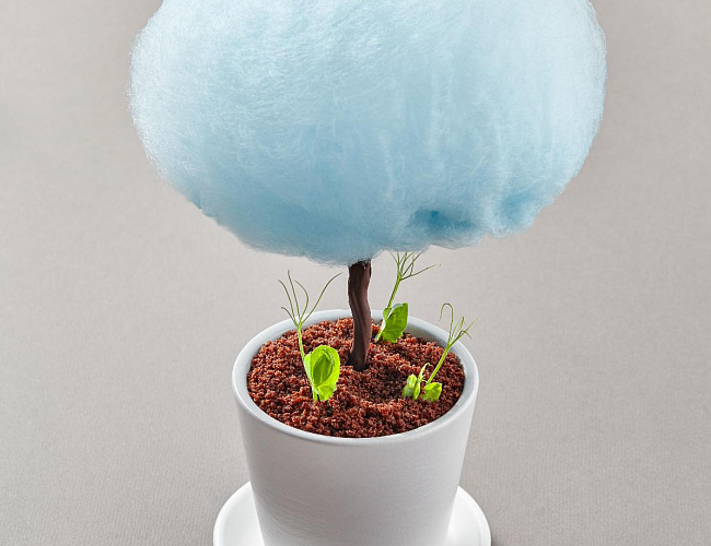 Ресторан «ОБЛАКА»