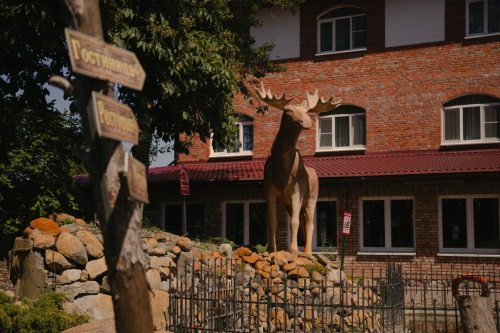 Картинка
