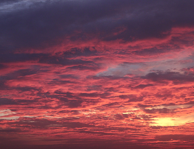Оливье Мессиан. Рождество Господне | Декабристские вечера