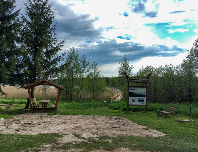 Роминтенская пуща