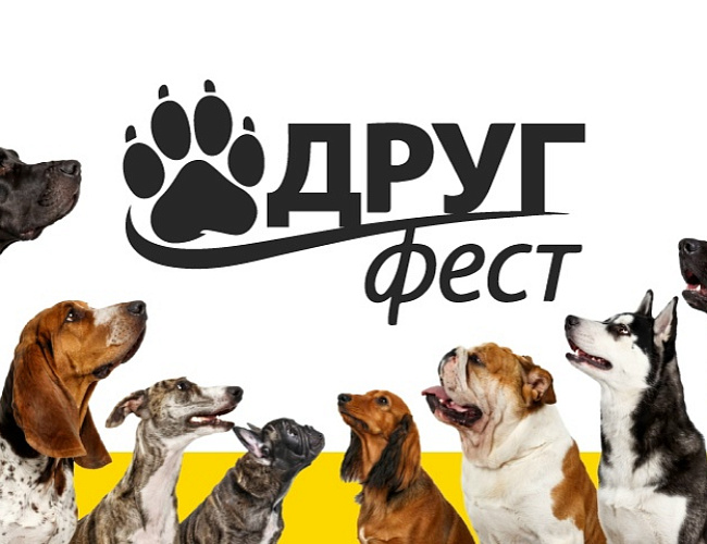 Другфест