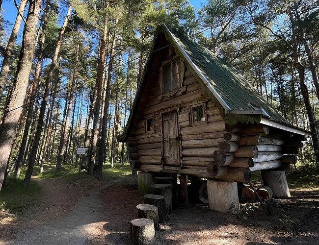 Куршская коса, Зеленоградск, там, где чайки спорят с кошками