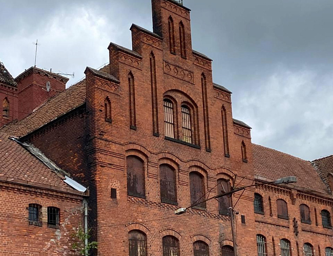 «Путь в Средневековье» три замка в одной экскурсии 