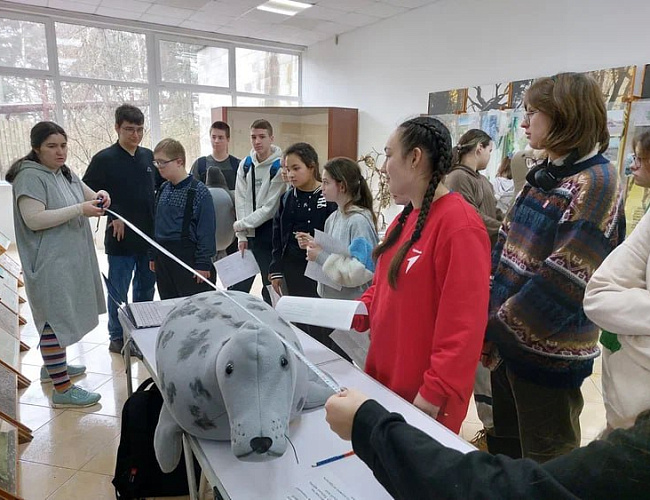 День тюленя