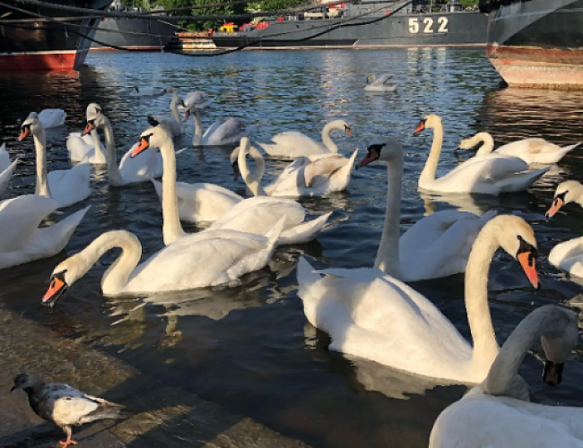 Самая западная точка России: Балтийск и Балтийская коса