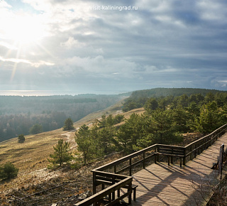 Куршская коса: Танцующий лес, Высота Эфа + замок «Нойхаузен»