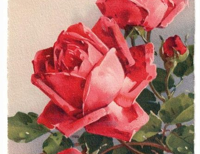 Ко Дню работника культуры: лекция и презентация работ с акварелью