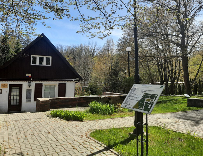 Время выбрало нас