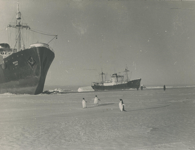 К берегам Антарктиды
