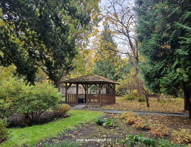 Ландшафтный парк / Калининградский областной детско-юношеский центр экологии, краеведения и туризма