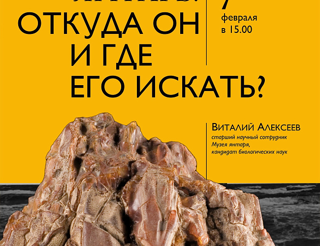 Янтарь: откуда он и где его искать?