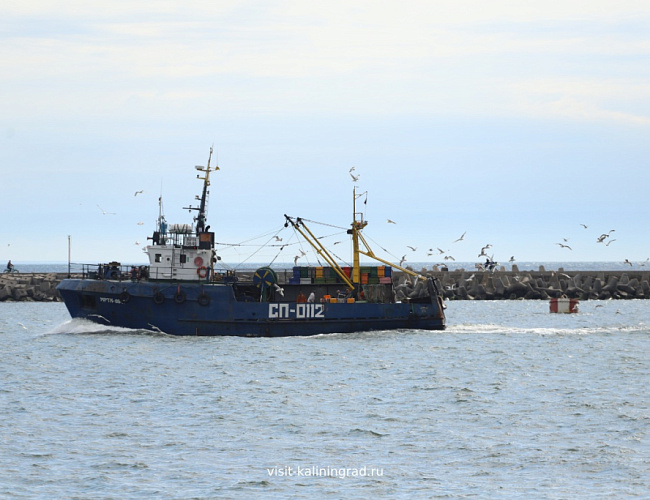 Балтийск и Балтийская Коса