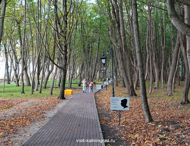 Парк Беккера