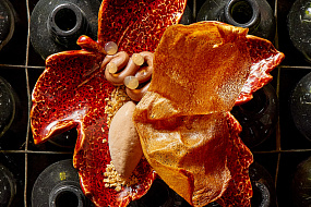 Гастробар «История в тарелке»