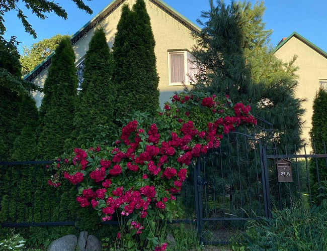 От Нойхаузена до Мюнхгаузена