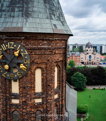 Dokumente für die Reise