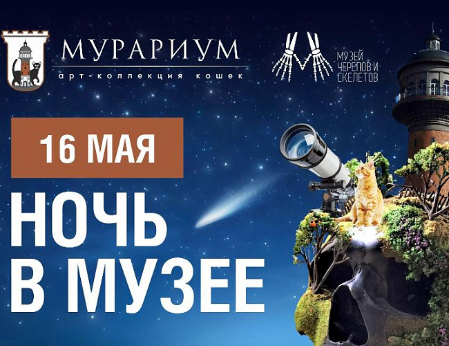 Ночь музеев: два в одном!