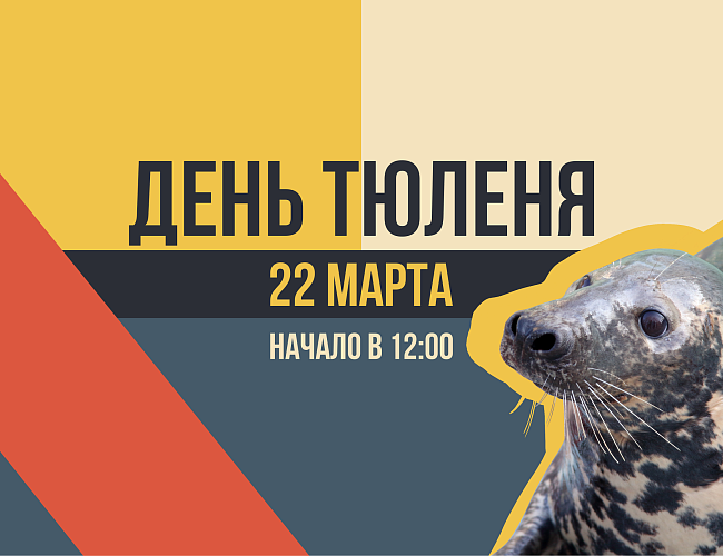 День тюленя в Калининградском зоопарке 