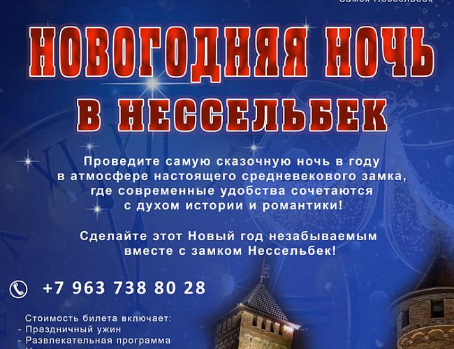 Новогодняя ночь в замке «Нессельбек»