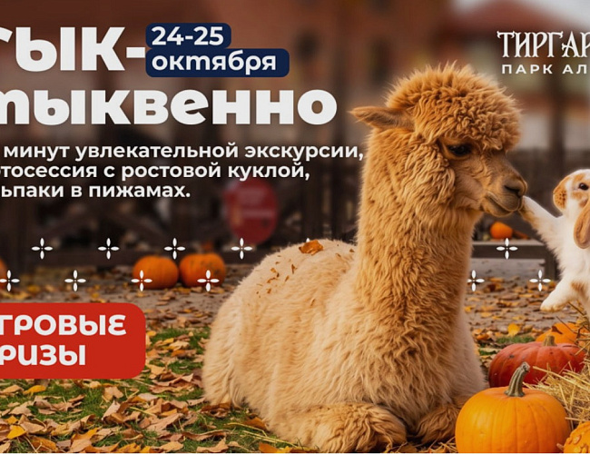 Осенний фестиваль: Тык-тыквенно