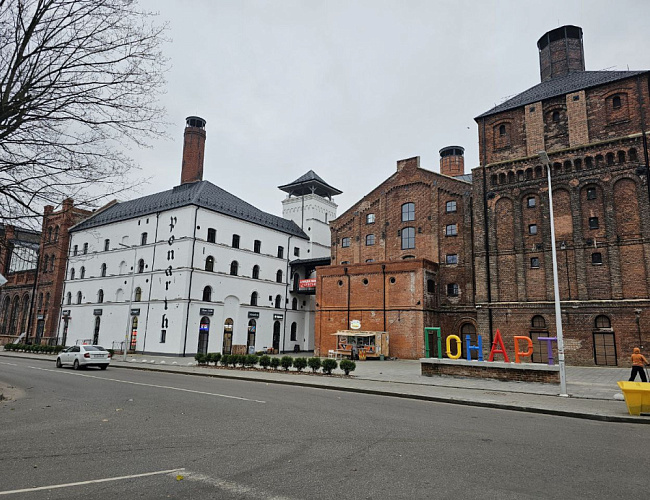 Cultural cluster «Ponart»