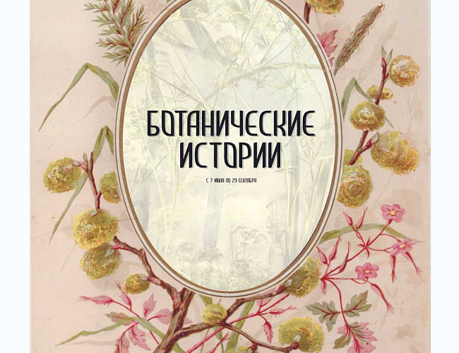 Ботанические истории