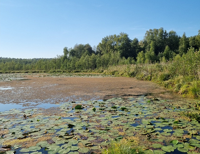 Веломаршрут "Виштынецкий"