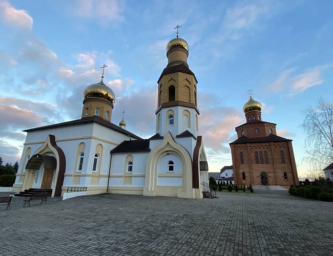 Лес Генриха – в край императорских угодий