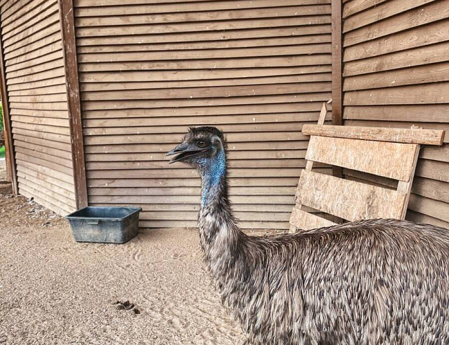 Парк птиц «Приозерье»