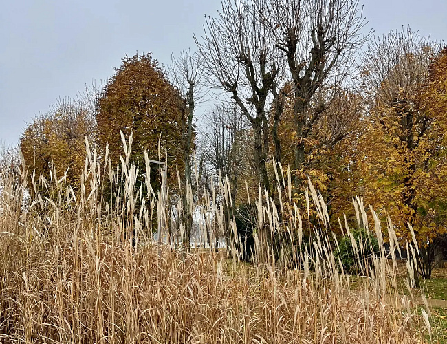 Набережная в городе Светлый