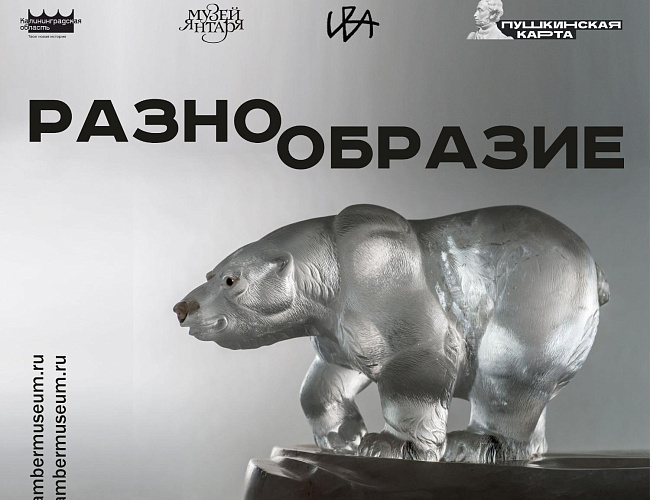Разнообразие