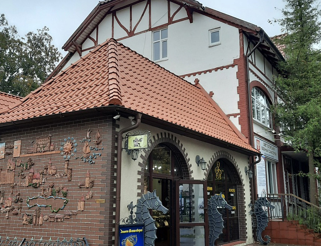 Светлогорский военный санаторий / Вилла Хильдегард