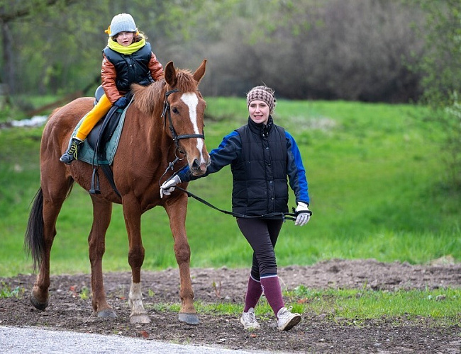 День скандинавской рыбы