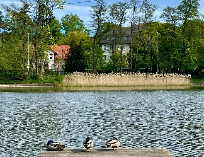 Янтарное кольцо: Балтийск, Янтарный, Светлогорск 