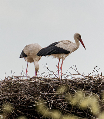 Самые интересные события марта