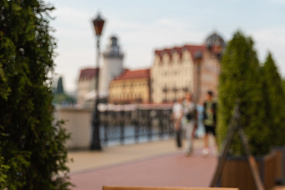 Ресторан Hofburg / «Хофбург»