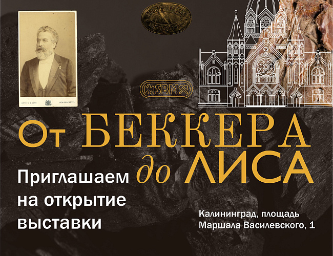 Выставка «От Беккера до Лиса»