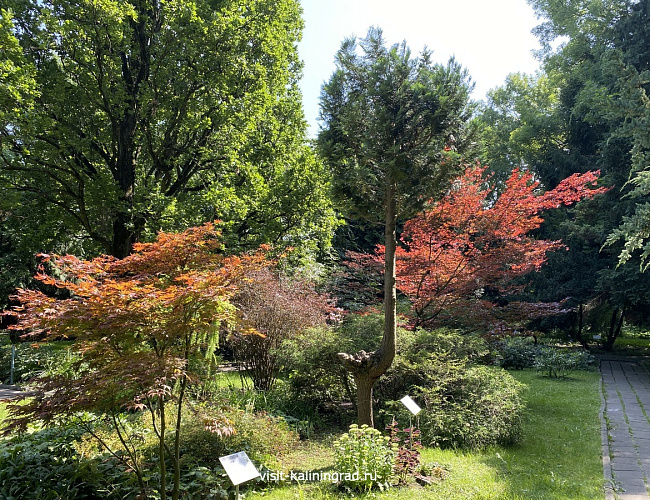 Ландшафтный парк / Калининградский областной детско-юношеский центр экологии, краеведения и туризма