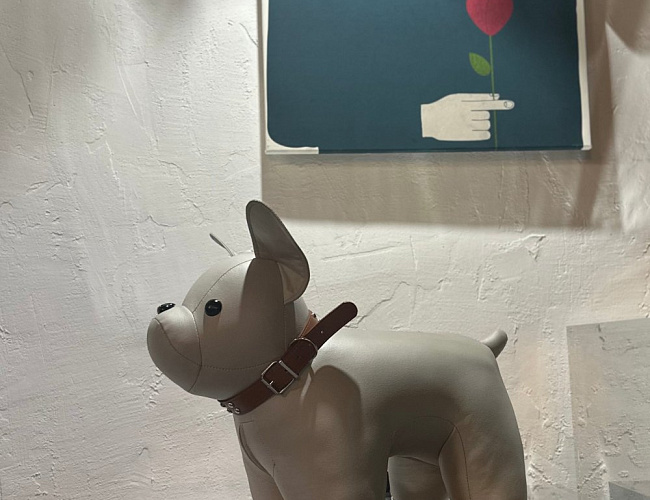 ВОЗДУХ — фотостудия автопортрета в Калининграде