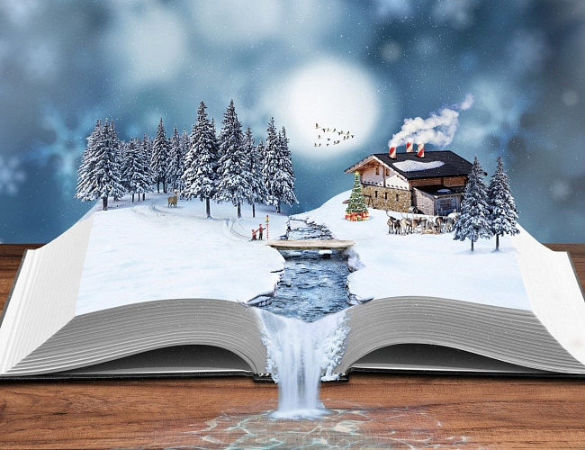 В книжно – снежном вихре
