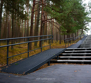 Долгая дорога в дюны: Куршская коса и г. Зеленоградск