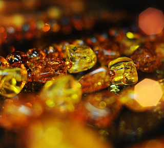 В поисках Янтарной комнаты: п. Янтарный и г. Светлогорск