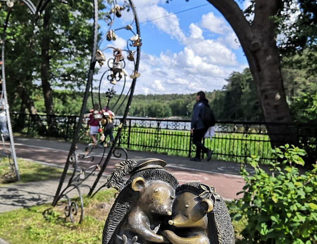 Светлоёжики в Светлогорске