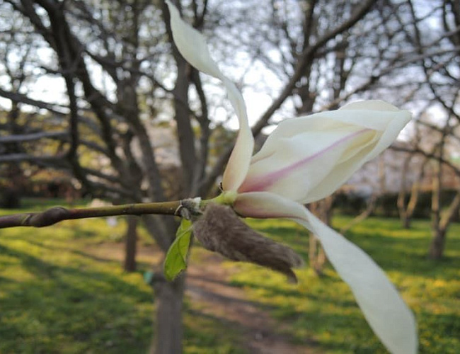 Botanischer Garten
