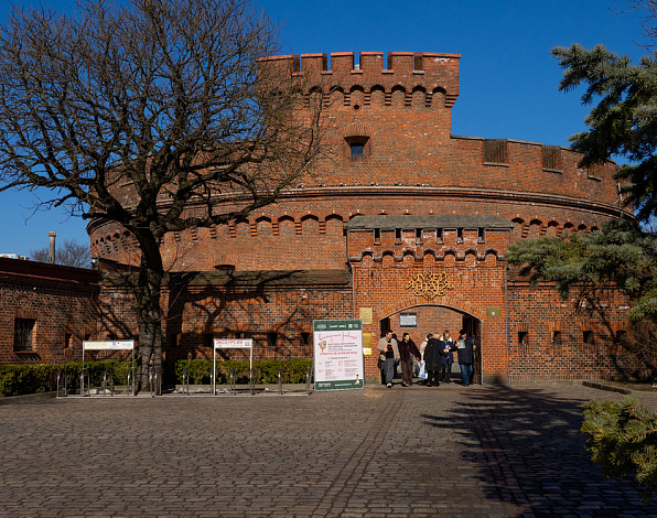 Картинка