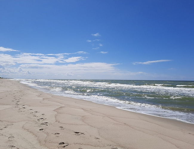  Куршская коса + Свободное время на пляже Балтийского моря
