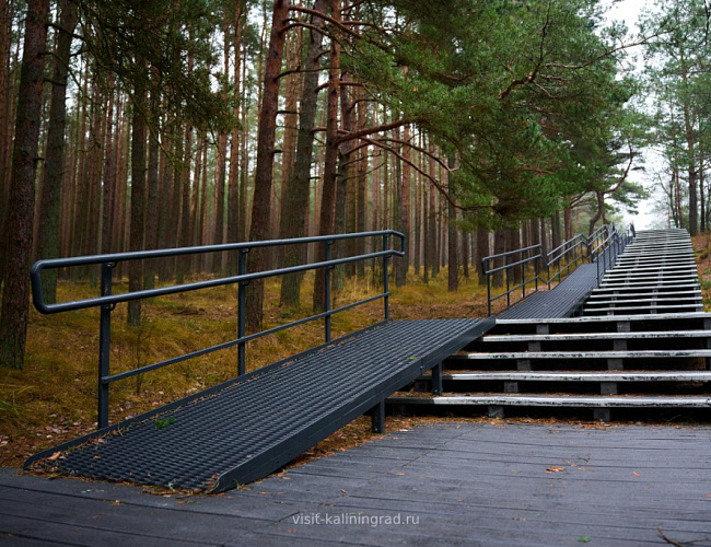 Куршская коса, г. Зеленоградск и сыроварня «ШаакенДорф» с дегустацией