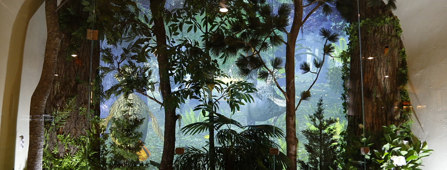 В Музее янтаря открылась новая диорама «Янтарный лес»